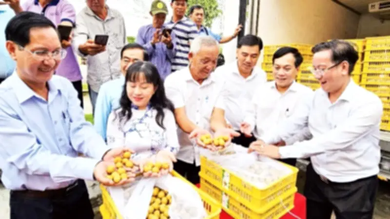 Cần Thơ đẩy mạnh xây dựng trung tâm tiêu thụ nông sản vùng ĐBSCL