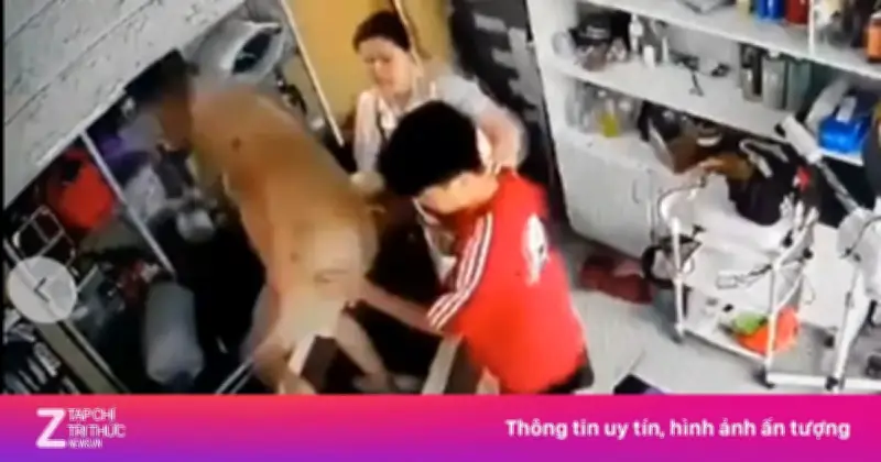 Công an Hà Nội xác minh vụ phụ nữ ôm con bị hành hung tại Phượng Dực