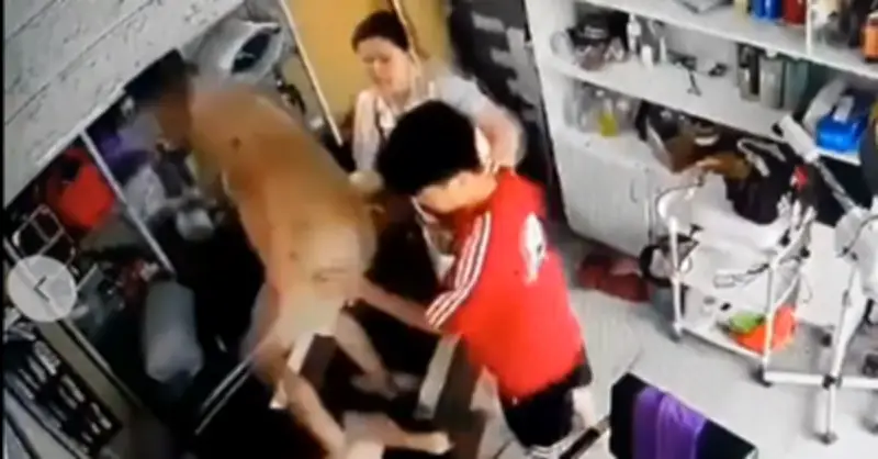 Công an vào cuộc vụ người phụ nữ ôm trẻ nhỏ bị hành hung liên tiếp ở Hà Nội