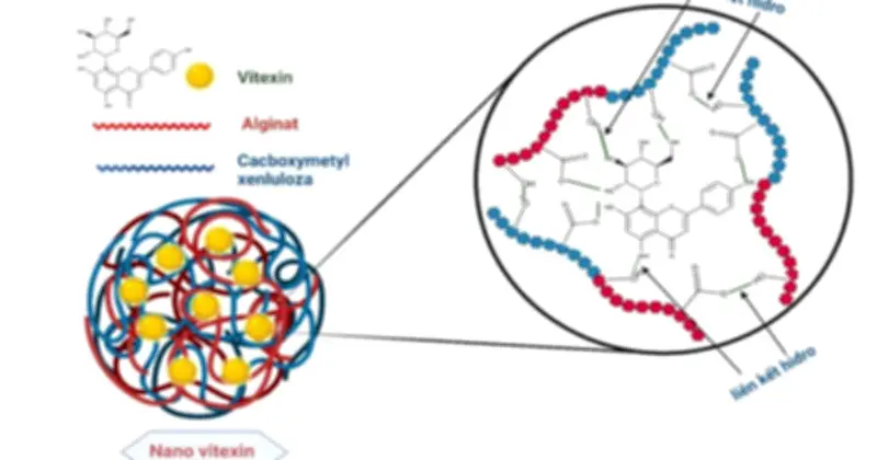 Công nghệ nano biến vỏ đỗ xanh thành 'thuốc' hỗ trợ tiểu đường