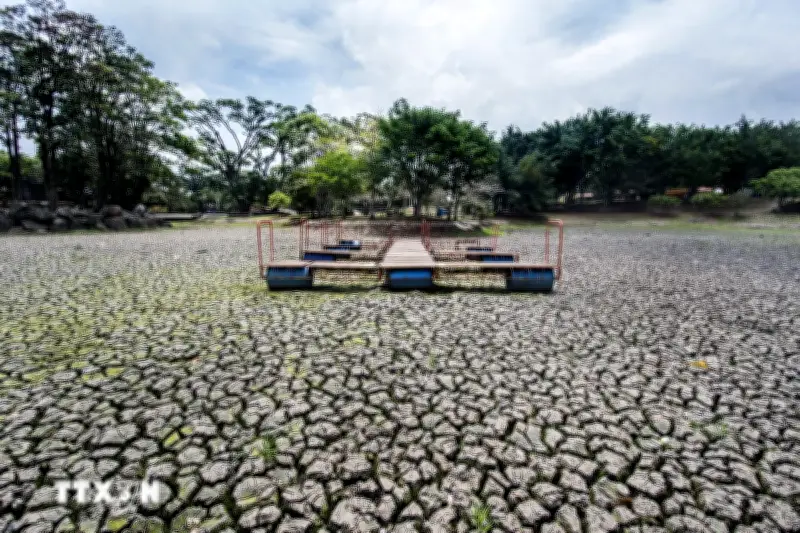 Cảnh báo hiện tượng siêu El Nino tác động đến mùa bão toàn cầu