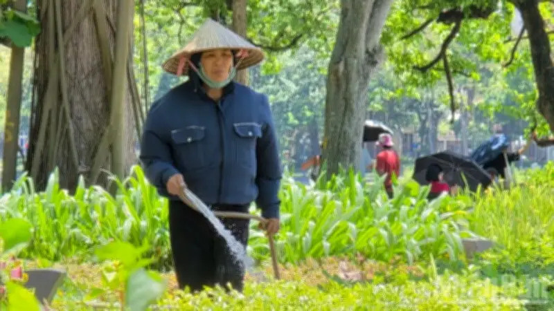 Cảnh báo nguy cơ say nắng, sốc nhiệt: Nhiều ca nhập viện cấp cứu