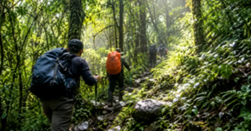 Cảnh báo trekking tự phát tại Vườn quốc gia Chư Yang Sin