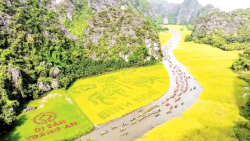 Cánh đồng lúa Tam Cốc: Từ nông nghiệp sang tài nguyên du lịch