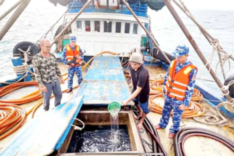 Cảnh sát biển Việt Nam tăng cường chống khai thác IUU và tội phạm trên biển