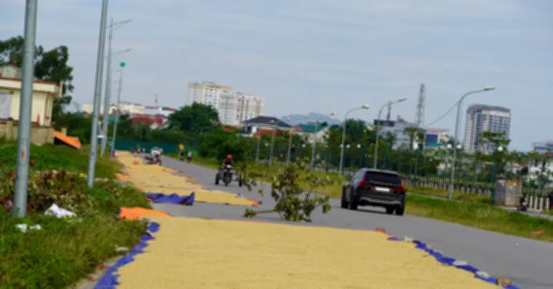 Cảnh tượng gây nhức mắt trên đường: Tài xế ô tô thập thò lỗ và chạm