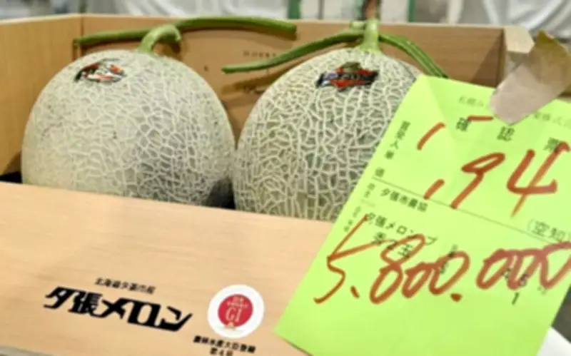 Cặp dưa lưới Hokkaido được bán với giá kỷ lục gần 957 triệu đồng
