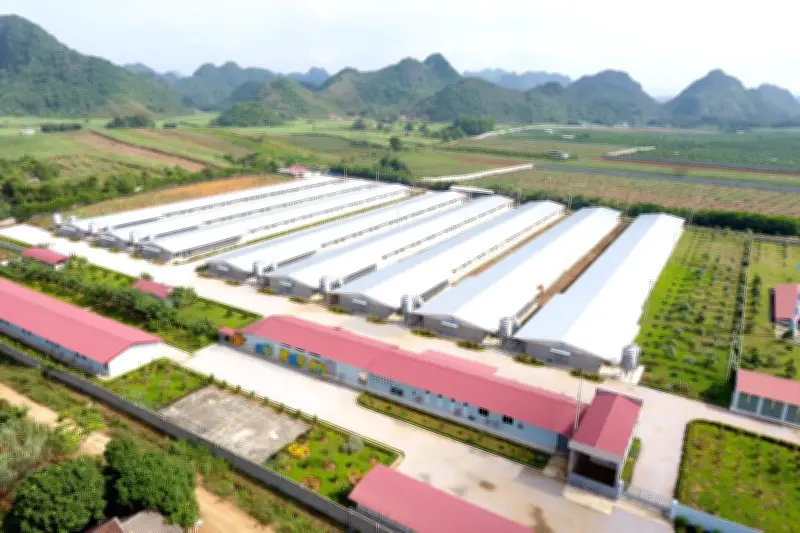 C.P. Việt Nam đẩy mạnh ứng dụng AI vào chuỗi nông nghiệp - thực phẩm