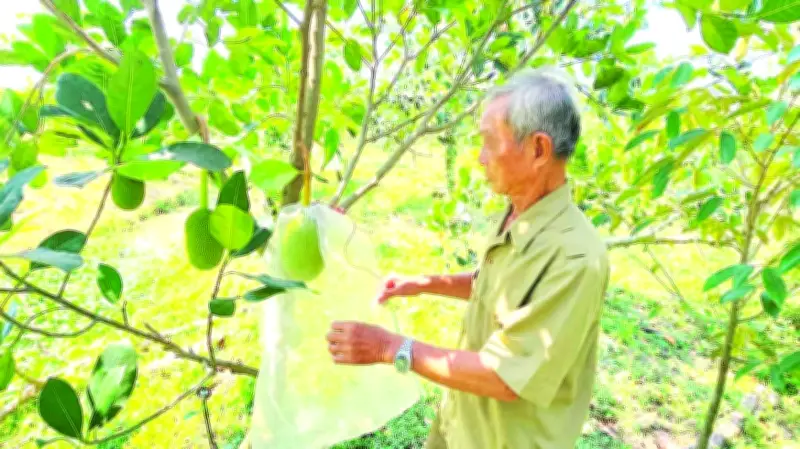 Cựu chiến binh An Giang: Từ nghị lực vượt khó đến giúp đỡ cộng đồng