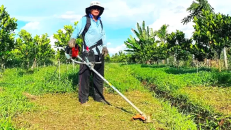 Câu chuyện về một lão nông tri điền từng là huyền thoại