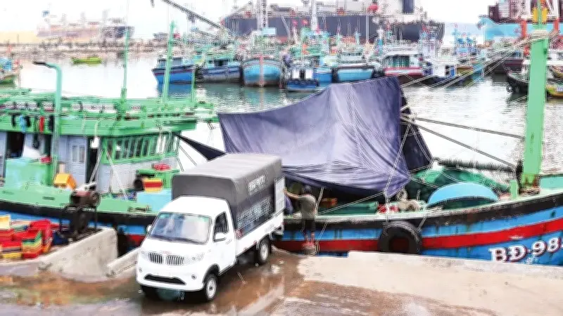 Cuộc chiến chống khai thác IUU tại cảng cá Quy Nhơn: Chuyển đổi số và kiểm soát chặt