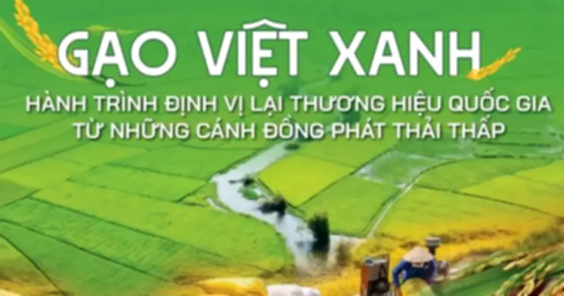 Cuộc chuyển mình xanh của ngành lúa gạo Việt Nam