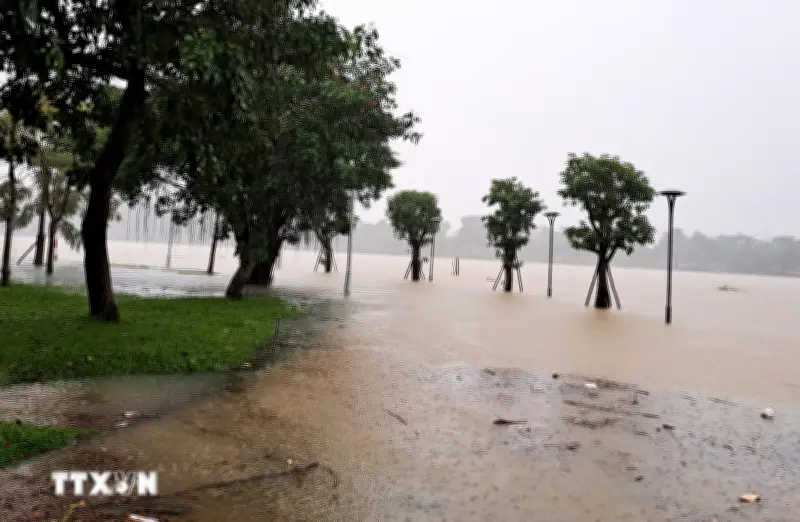 Dự báo mùa bão 2026 trên Biển Đông ít hơn trung bình, đề phòng bão bất thường