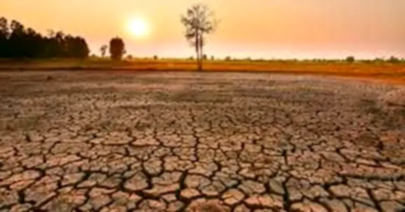 Dự báo Siêu El Niño 2026: Xác suất 100%, tác động đến Việt Nam