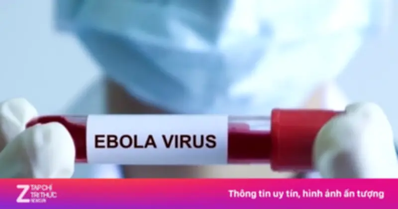 Dịch Ebola diễn biến phức tạp, Bộ Y tế họp khẩn triển khai ứng phó