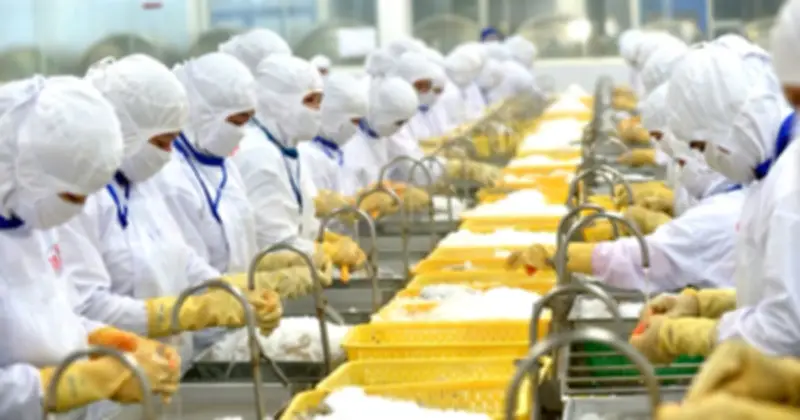 DOC tính thuế chống bán phá giá tôm Việt Nam có sai sót?