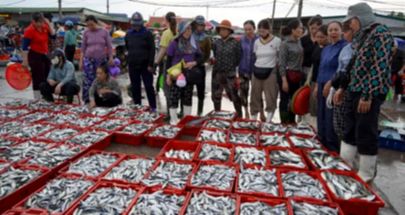 Du khách chen chân săn hải sản tươi roi rói ở chợ cá nức tiếng Cửa Lò