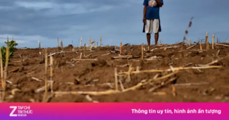 El Nino 2026 có thể mạnh nhất lịch sử, đe dọa an ninh lương thực