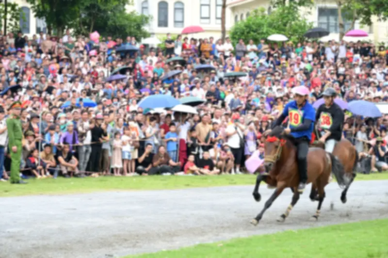 Festival mùa hè 2026 Bắc Hà: Vàng xa vó ngựa cao nguyên