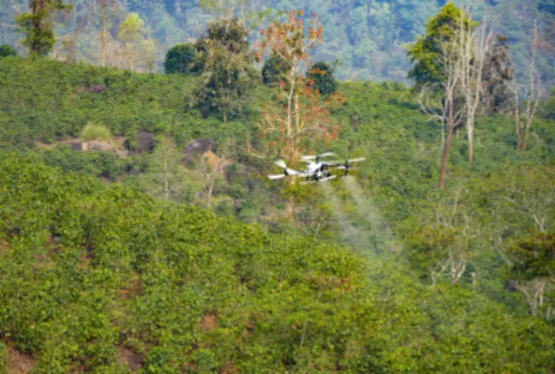 FPT đề xuất dùng UAV phát triển kinh tế tầm thấp tại Điện Biên