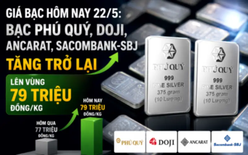 Giá bạc hôm nay 22/5: Bạc Phú Quý, DOJI, Ancarat, Sacombank, SBJ tăng trở lại