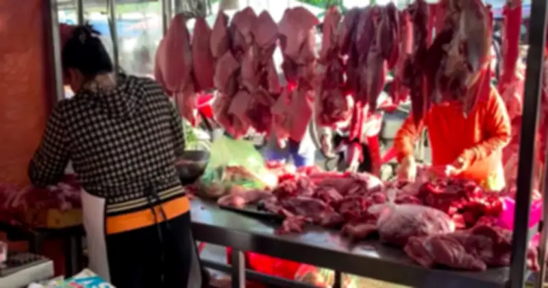 Giá heo hơi cả nước dao động 67.000-70.000 đồng/kg, miền Trung tăng mạnh