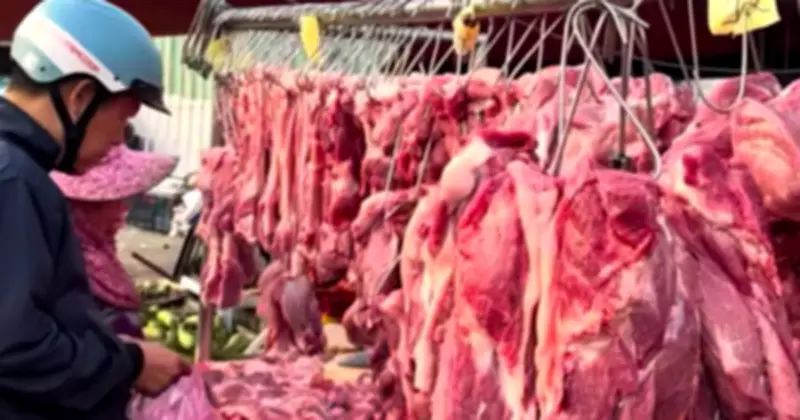 Giá heo hơi hôm nay ổn định, nguồn cung dồi dào giữ thị trường