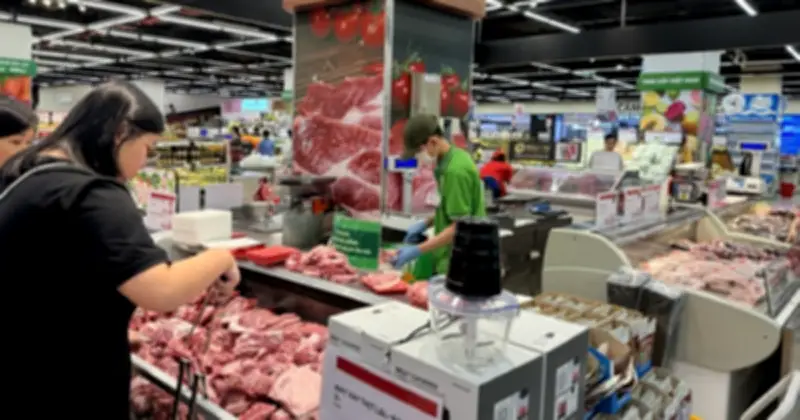 Giá heo hơi hôm nay tăng mạnh, miền Bắc dẫn đầu đà tăng