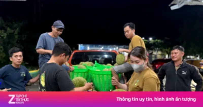 Giá sầu riêng lao dốc, xe ùn ứ chờ kiểm nghiệm: Ngành 'vua trái cây' khủng hoảng