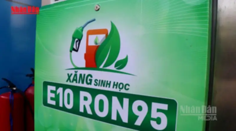 Giá xăng sinh học E10 cao nhất không quá 25.120 đồng/lít