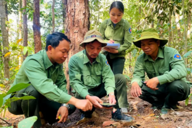 Gia Lai thành lập Ban Quản lý rừng phòng hộ với hơn 500 nhân sự