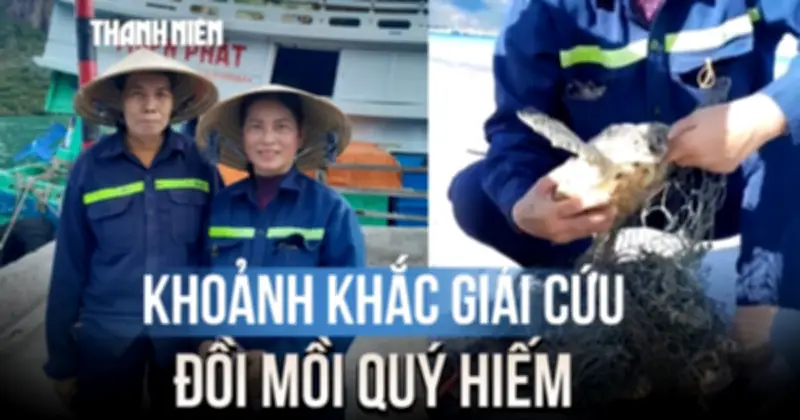 Giải cứu đồi mồi quý hiếm mắc lưới trên bãi biển Côn Đảo