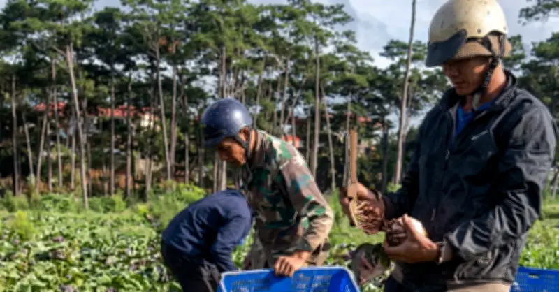 Giảm nghèo thông tin: Quy chuẩn kỹ thuật quốc tế cho doanh nghiệp nông sản