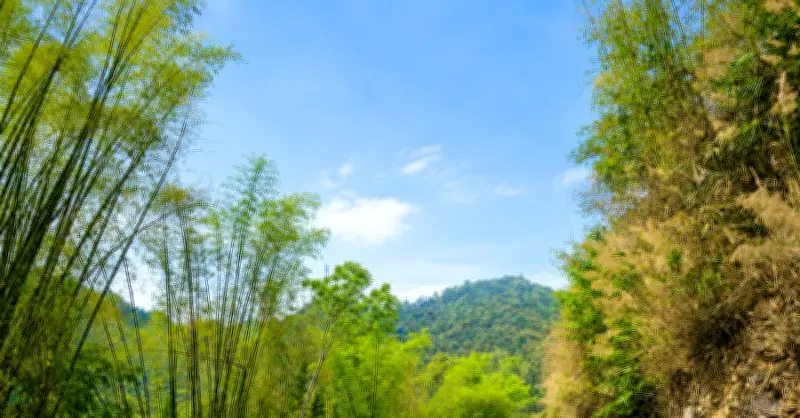 Giảm nghèo thông tin thay đổi tư duy làm du lịch cộng đồng ở Mộc Sơn
