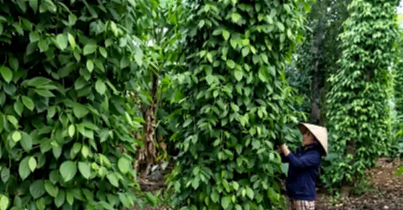 Giảm nghèo thông tin thúc đẩy phát triển bền vững thị trường nông lâm thủy sản