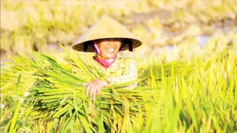 Giảm phát thải methane trong trồng trọt: Cơ hội từ tưới khô ướt xen kẽ