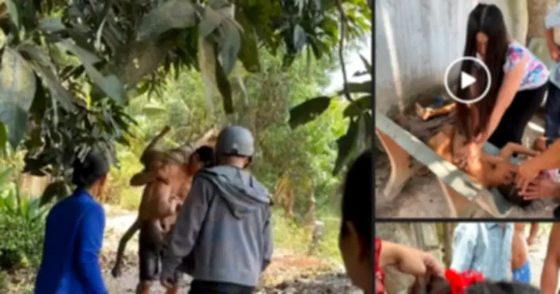 Giảng viên Đại học Trà Vinh ép tim cứu bé trai đuối nước
