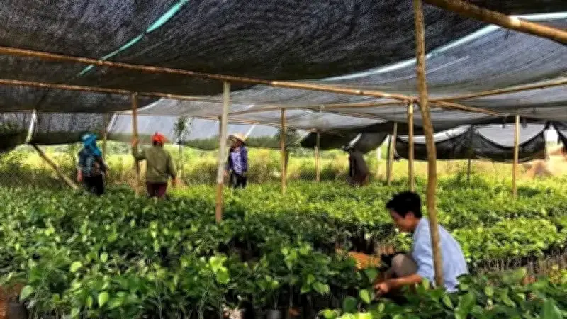 Gương mẫu cán bộ, đảng viên tạo sức bật cho nông thôn mới Quảng Trị