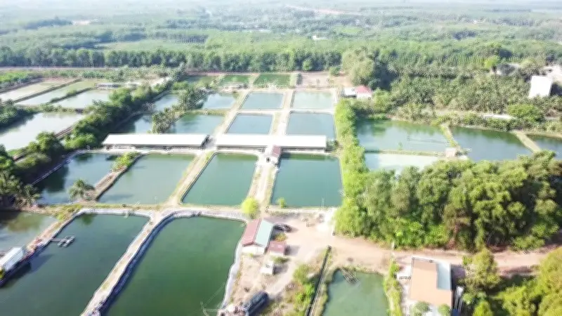 Hồ Dầu Tiếng: Điểm tựa thủy lợi chiến lược cho vùng Đông Nam Bộ