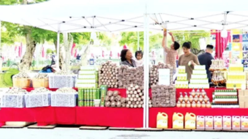 Hồ Hạnh Phúc khoác diện mạo mới, điểm hẹn văn hóa cuối tuần