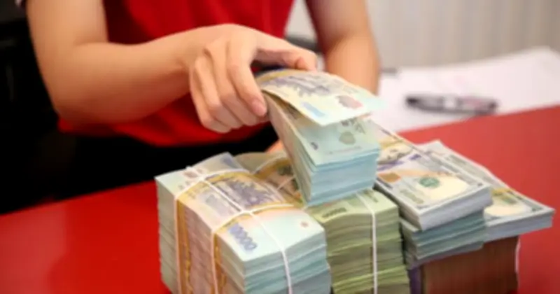 Hộ kinh doanh cần cân nhắc khi hủy tờ khai thuế nếu doanh thu dưới 1 tỉ đồng