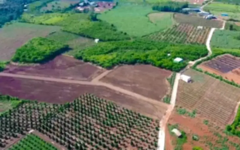 Hà Nội phân cấp cho xã phê duyệt vùng sản xuất nông nghiệp tập trung