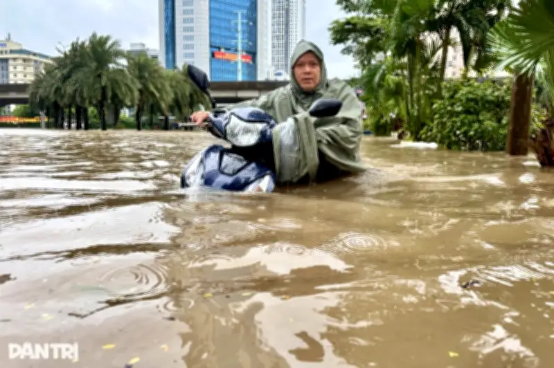 Hà Nội thí điểm lát đường bằng bê tông rỗng chống ngập