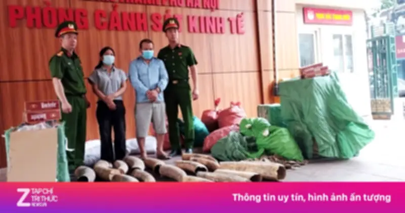 Hà Nội triệt phá đường dây buôn lậu ngà voi và thuốc lá