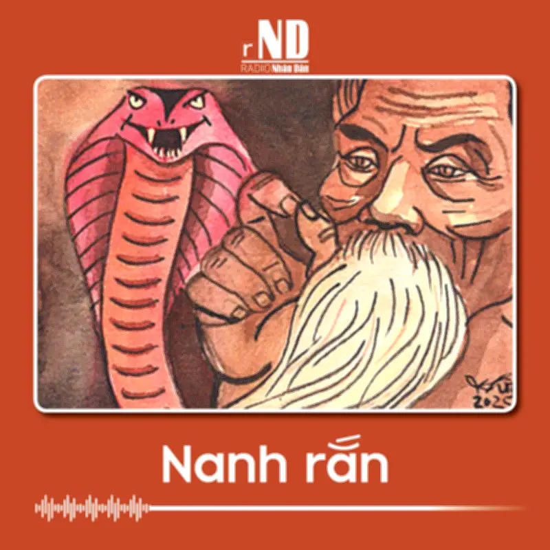 Hễ tháo nanh khỏi cổ, tôi lại mơ về làng K'ro
