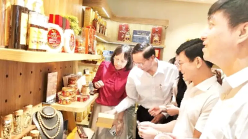 Hà Tĩnh đẩy mạnh xúc tiến thương mại, đưa đặc sản vươn xa