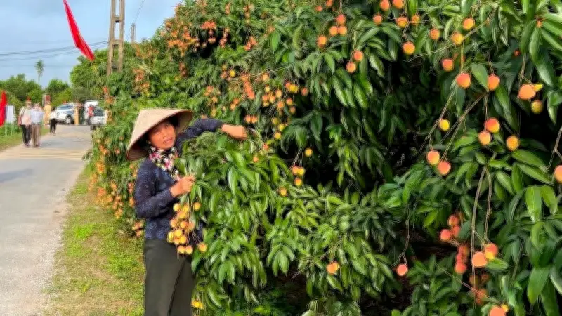 Hỗ trợ bảo hiểm y tế cho hộ thoát nghèo; Quảng Ninh đón 8,2 triệu khách du lịch