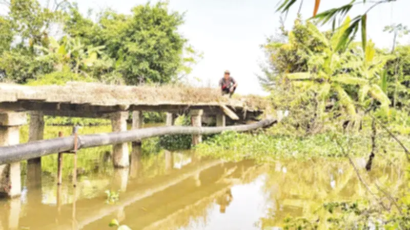Hai cầu dân sinh xuống cấp nghiêm trọng tại Nam Thụy Anh, người dân mong sớm xây mới
