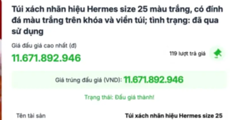 Hai túi Hermes của bà Trương Mỹ Lan được đấu giá thành công với giá hơn 14 tỉ đồng