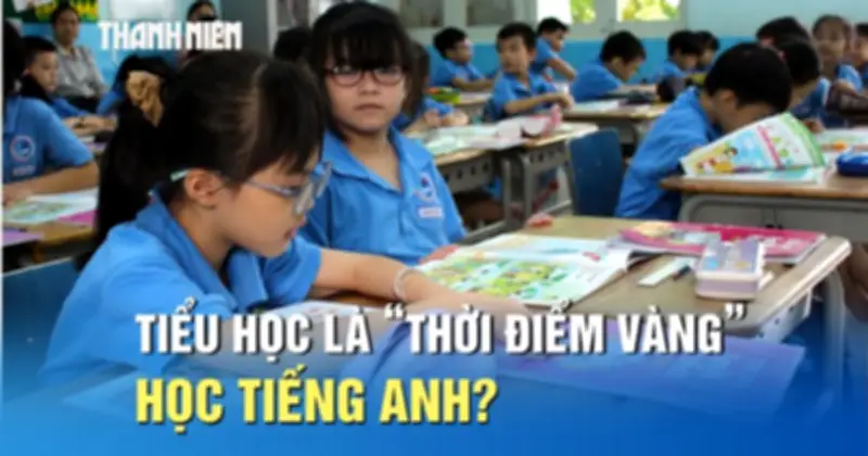 Học IELTS từ tiểu học: Không quá sức, là thời điểm vàng để xây dựng nền tảng